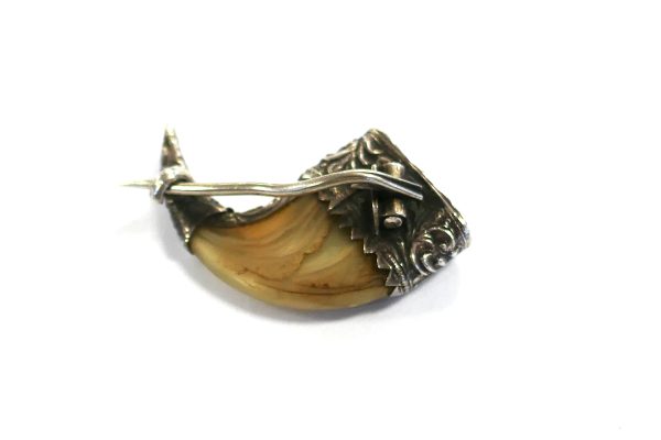 Tigers Claw Silver capped VINTAGE Brooch - Image 4