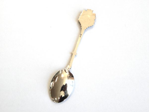Vintage Enameled Souvenir Teaspoon Hastings NZ - Image 4
